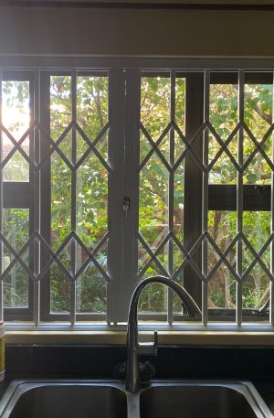 robodoor trellis Window Burglar Bars